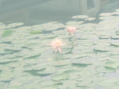 -御泉湾养生汤泉