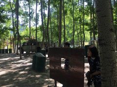 -朝阳公园真人CS