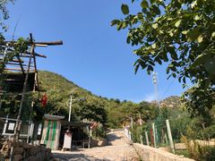 -大岭沟猕猴桃谷风景区