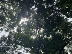 -古宇湖风景名胜区