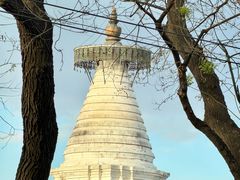 -杏园餐厅(阜成门店)