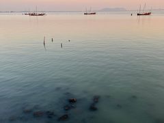-贡湖湾湿地公园