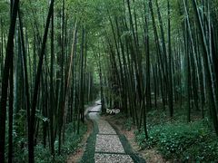 -南山风景名胜区