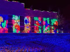 -南宫五洲植物乐园