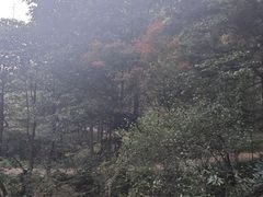-黄公望隐居地