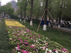 -龙头寺公园