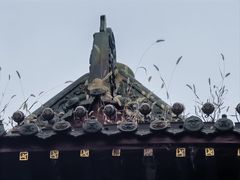 -迎泽公园