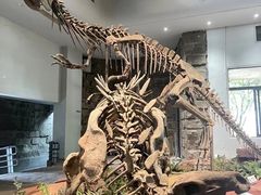 -自贡恐龙博物馆