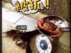 -蚝专家(北滘店)