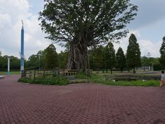 -热田神宫
