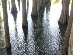 -东湖落雁景区