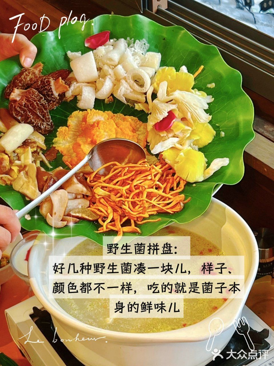 在大理！被方舟胖子厨房野生菌狠狠拿捏！