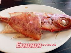 -吴记富苑(朝阳店)