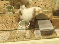 -龙猫仔乐园(惠福东路店)