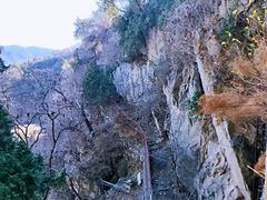 -鹫峰国家森林公园