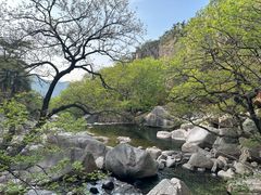 -崂山九水游览区