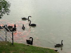 -艾溪湖湿地公园