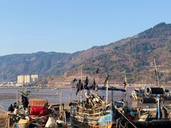 -北岐滩涂