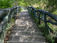 -梧桐山风景名胜区