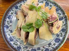 -九斤黄三黄鸡专卖店