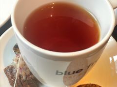 -blue frog蓝蛙(长泰广场店)