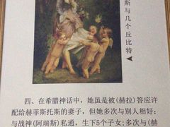 -贝壳王国博物馆