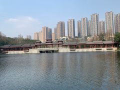 -重庆彩云湖湿地公园