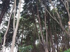 -南诏风情岛
