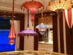 android_upload_pic-拉斯维加斯永利酒店