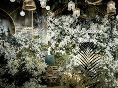 -艾拉私人定制婚礼