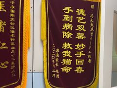 -中农国际动物医院24小时·猫科·骨科·急重症中心