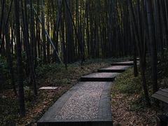 -南山风景名胜区