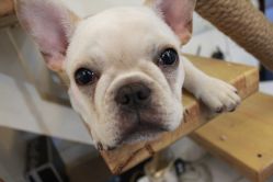 店内环境-众刺纹画·纹身·穿孔饰品·海娜定制