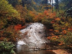-龙苍沟森林公园