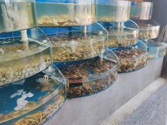 -蓝珊甄选海鲜自助·火锅大排档(近阿那亚店)