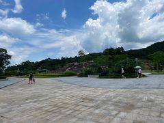 -广州白江湖森林公园
