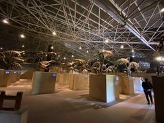 -世界恐龙谷景区