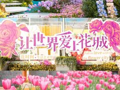 -海心沙亚运公园