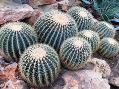 -国家植物园南园