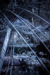 点击看大图 -三色锦婚礼定制