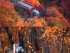 -少华山国家森林公园