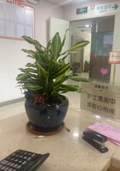 -深圳港龙妇产医院