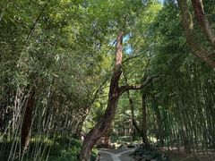 -兰亭风景区