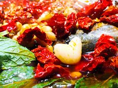 -探鱼·鲜青椒爽麻烤鱼(中山大信新都汇店)