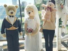 -济州岛泰迪熊博物馆