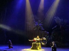 -青岛方特梦幻王国