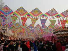 -朝阳公园游乐园