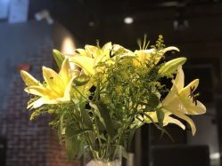 -Kraemer Paris  苏豪路易士·嘉玛发廊