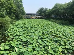 -杭州半山国家森林公园