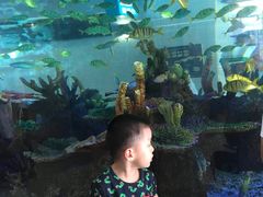 -萌宠奇缘